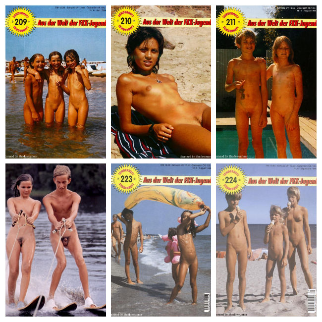 Sonnenfreunde Sonderheft Nr.209-224 Sonnenfreunde Sonderheft Nr.209-224